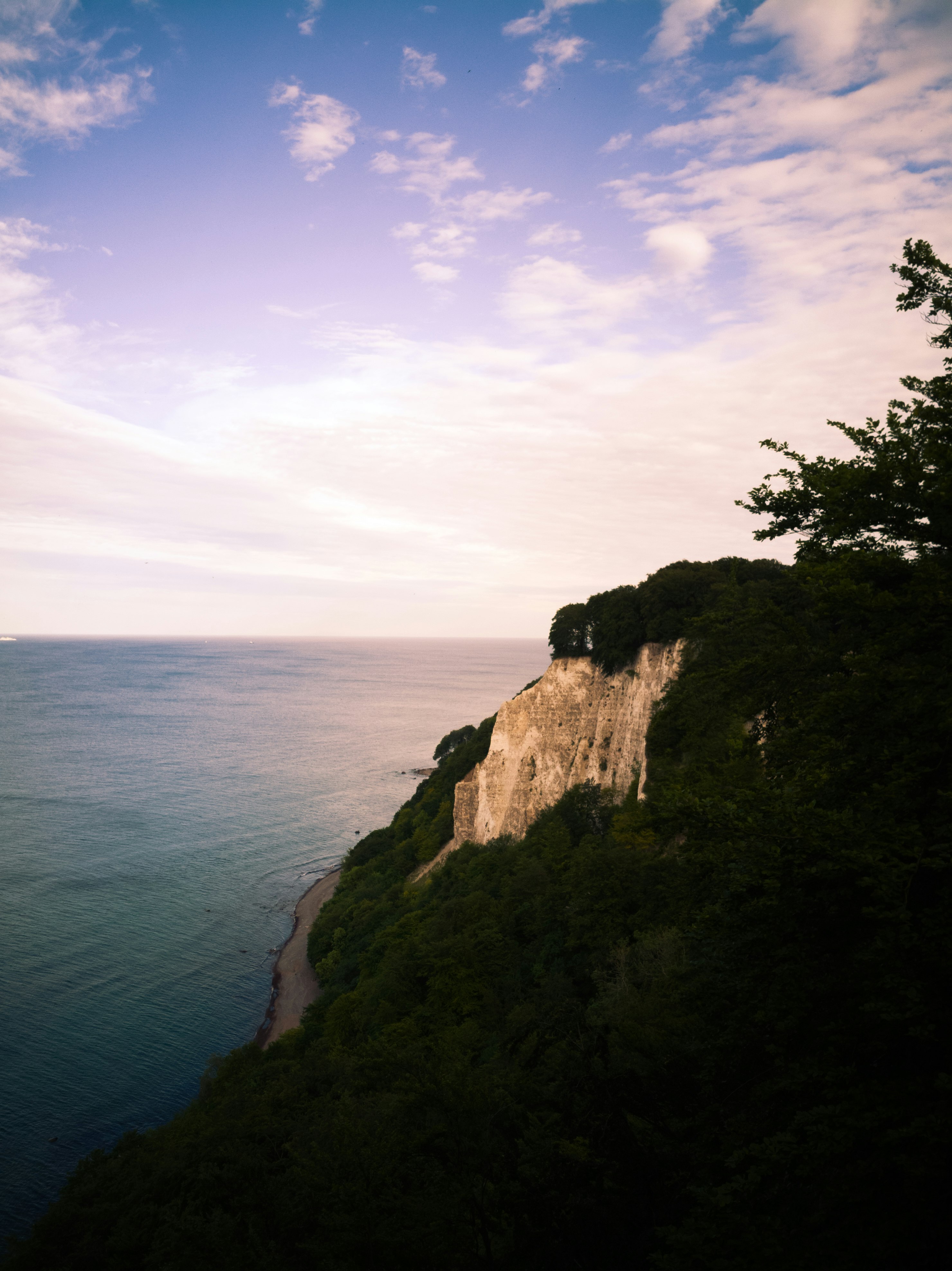 sea cliff during daytime